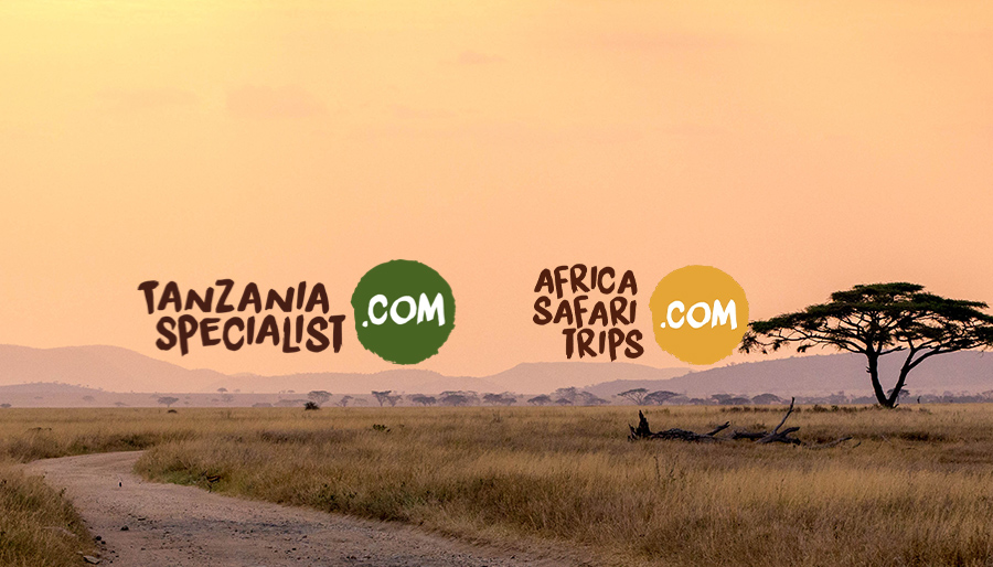 Deloitte, EY and OMMAX advise on acquisition of travel group Afrika Invest