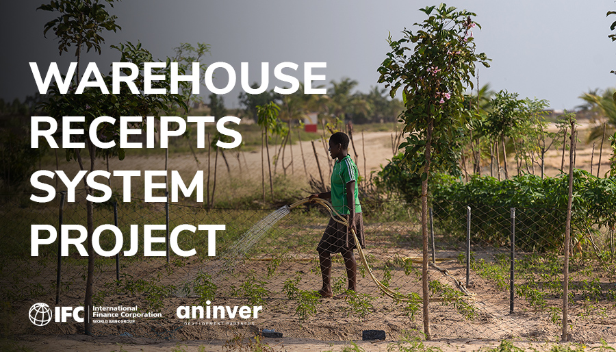 IFC hires Aninver for review of major agricultural program in Ghana