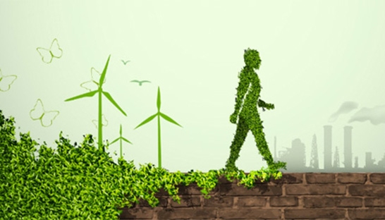 Ecofys develops Climate Initiatives Database for ICIs