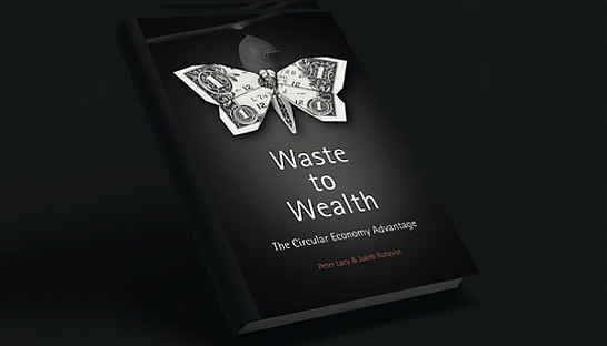 Waste to Wealth: The Circular Economy Advantage