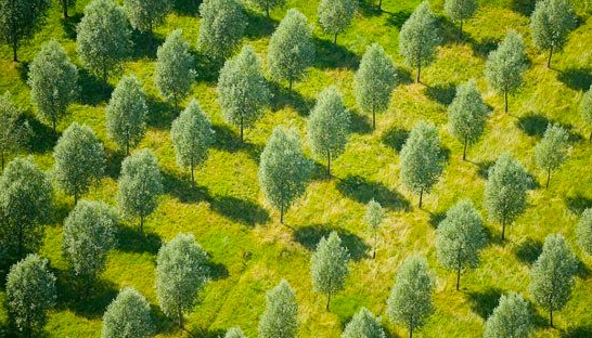 Ecofys strikes alliance with The Generation Foundation