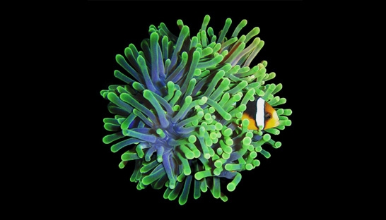 Amsterdam ousts London as top European city for hotel investment