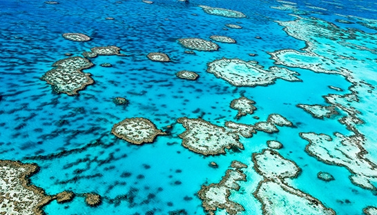 Australia’s Great Barrier Reef natural wonder valued at A$56 billion