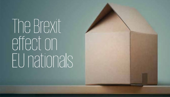 Highly skilled EU nationals consider Brexit of their own