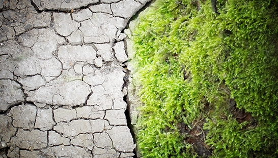 Paris Climate target still off by more than a degree, despite progress