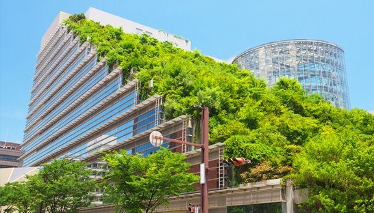 Ecofys leads project for energy-efficient buildings in Egypt, Jordan and Lebanon