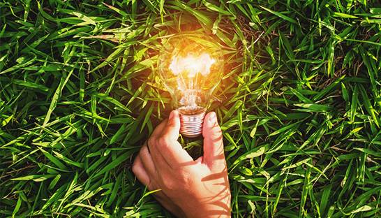 Why IEA, OPEC and EIA have such different outlooks for energy consumption