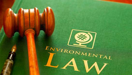 Lawyers cross-examine Big Four for climate reporting of audit clients