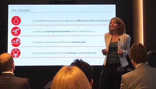 Bain's Jenny Davis-Peccoud spells out the importance of sustainability