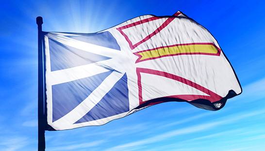 McKinsey's Newfoundland diversification report to be revealed after provincial budget