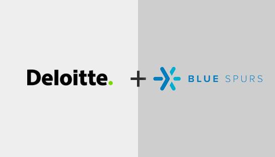 Deloitte adds New Brunswick cloud consulting firm Blue Spurs