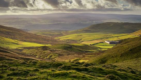 Consultancies to help modernise Trans-Pennine railway