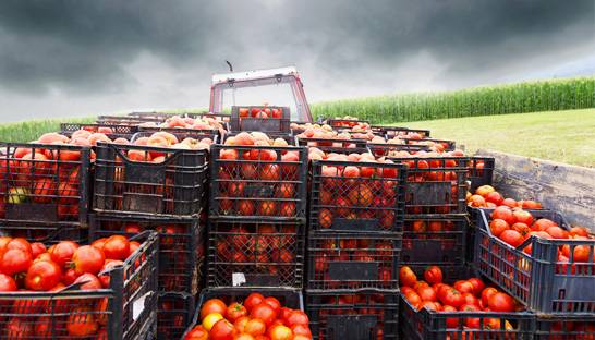 KPMG launches blockchain platform for the food industry