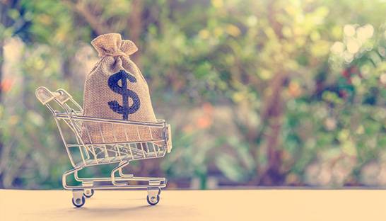 The burgeoning market of microfinance in India