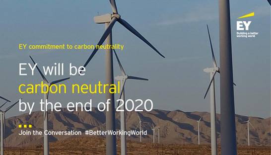 EY aims to become fully carbon neutral by year's end