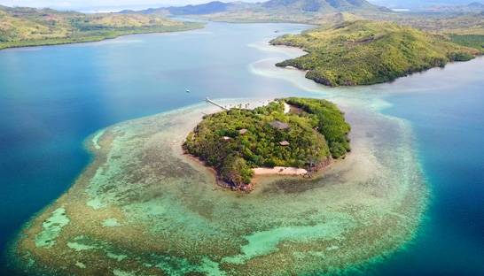 Accenture teams up on coral reef protection project in the Philippines