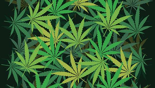 US legal cannabis market shows strong fundamentals for growth