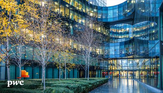 PwC grows revenues and profit during pandemic-hit year