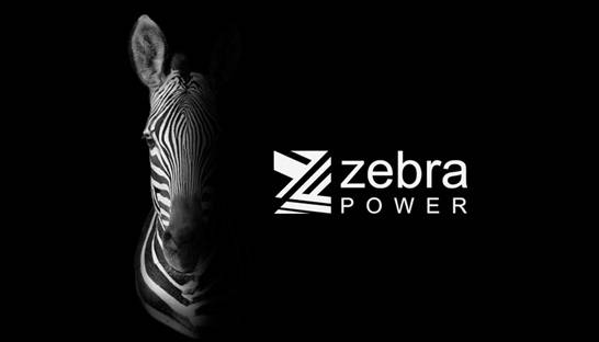 PwC installed as administrator of Zebra Power