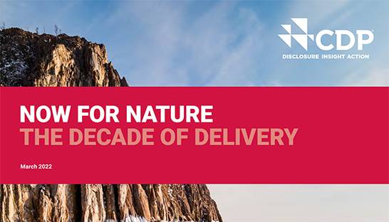 Number of companies setting science-based targets grows rapidly