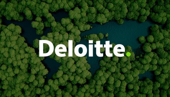 Deloitte pumps $1 billion into sustainability and climate practice