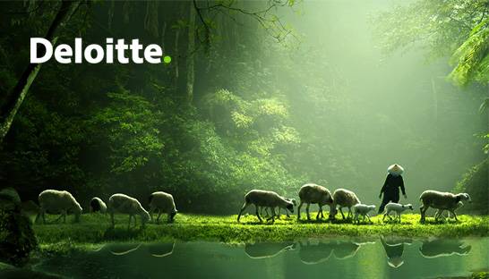 Deloitte invests $1 billion in Sustainability & Climate service