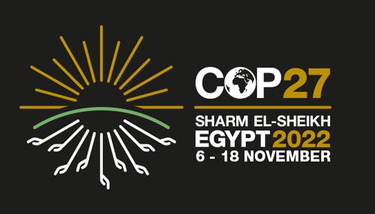 BCG named exclusive strategic partner for COP27 conference