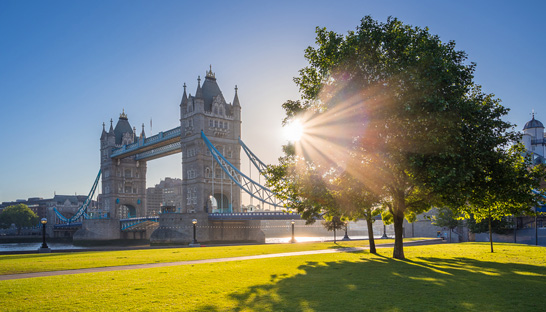 London benefits most from green jobs boom