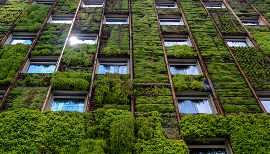 Deloitte to include sustainable delivery clause in client contracts