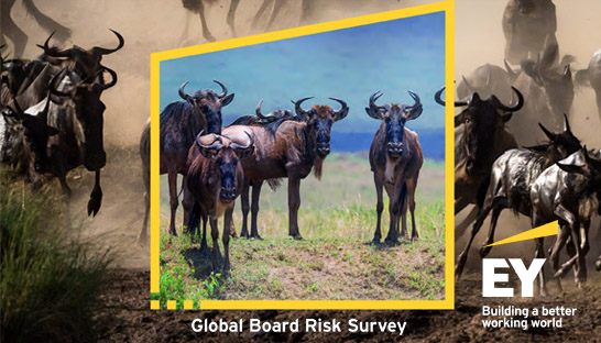 Five ways to boost board resilience