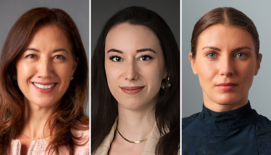 Preparing for ISSB standards and climate-related financial disclosures