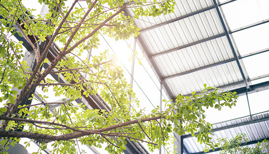 Decarbonisation progress of UK businesses slowing down