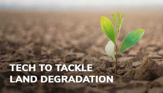 Technologies to tackle land degradation in arid and hyper-arid regions