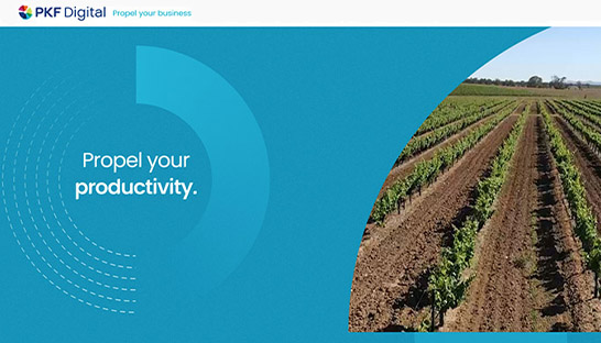PKF reboots PKF Digital brand with new online ‘shopfront’