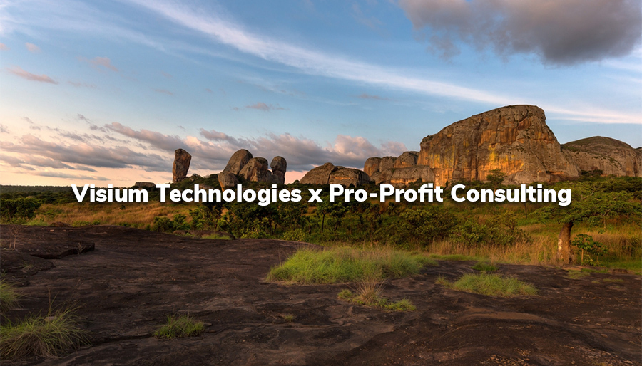 Visium Technologies partners with Pro-Profit Consulting for Angola expansion